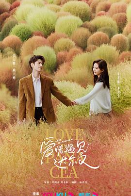 企业seo推广优化